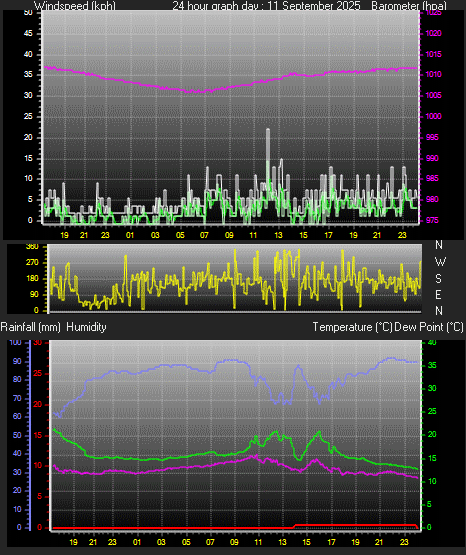 24 Hour Graph for Day 11