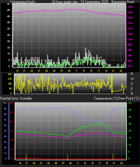 24 Hour Graph for Day 19