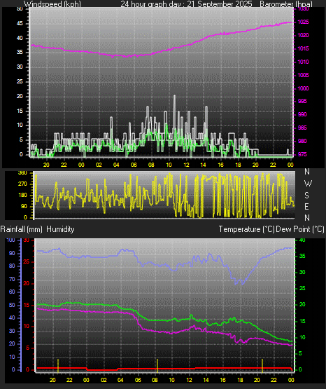 24 Hour Graph for Day 21
