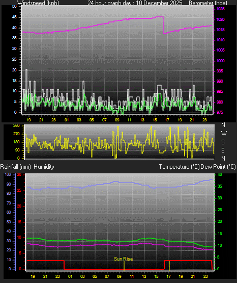 24 Hour Graph for Day 10
