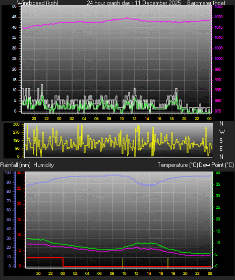 24 Hour Graph for Day 11