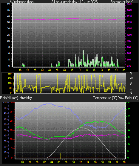 24 Hour Graph for Day 10