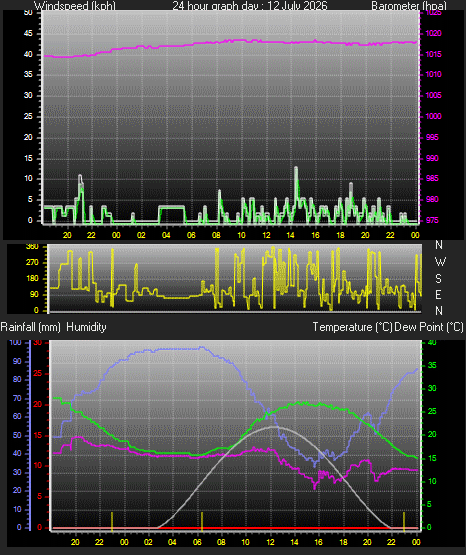 24 Hour Graph for Day 12