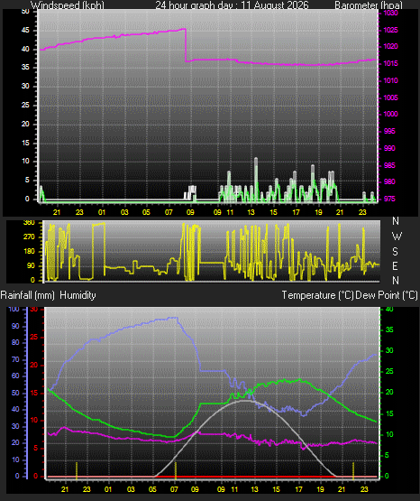 24 Hour Graph for Day 11
